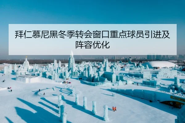 拜仁慕尼黑冬季转会窗口重点球员引进及阵容优化